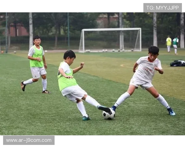 围绕六安市足球教练名单探讨区域青训体系建设路径分析研究综述篇